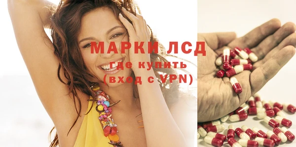 индика Богданович