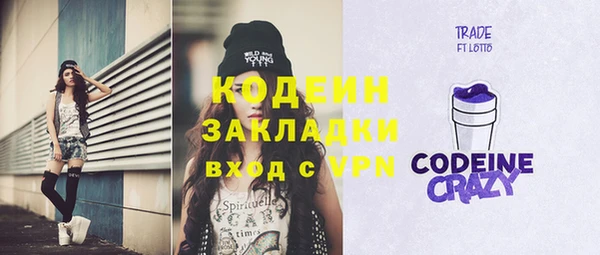 индика Богданович