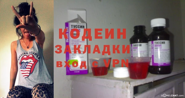 индика Богданович