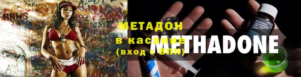 индика Богданович