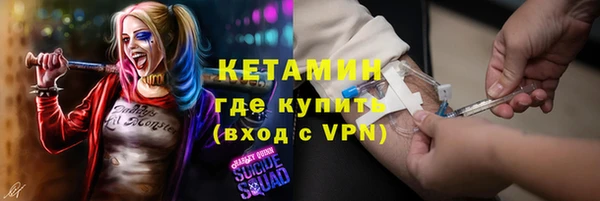 индика Богданович