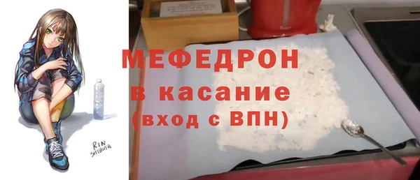 индика Богданович