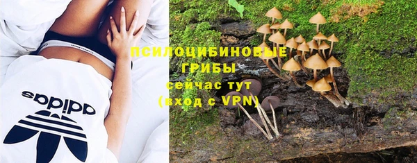 индика Богданович