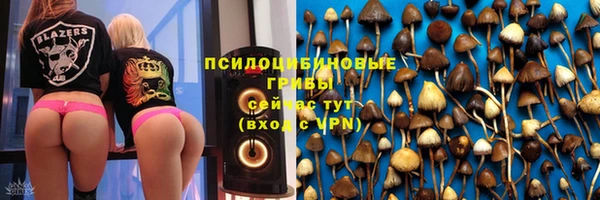 твердый Богородицк