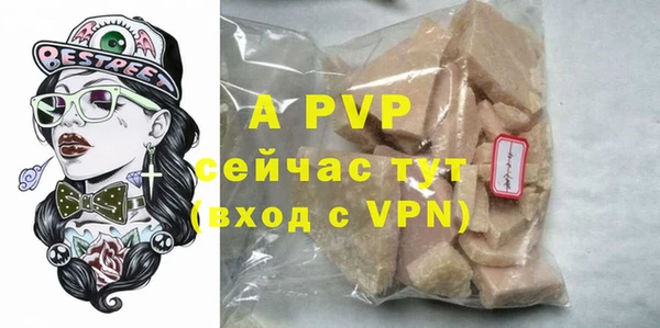 индика Богданович