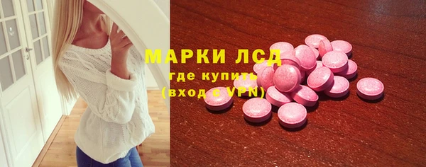 индика Богданович