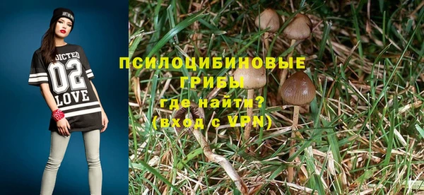 твердый Богородицк