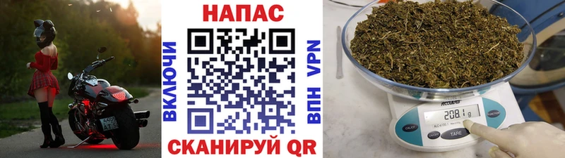 Купить  Кувандык  Бошки Шишки конопля 